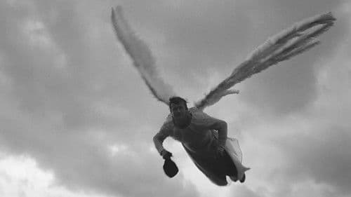 Fifi la plume Bild 4