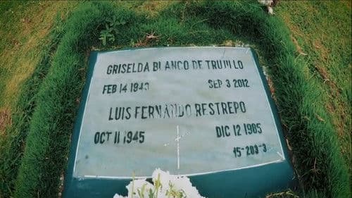 X Sicario Profesional Bild 3