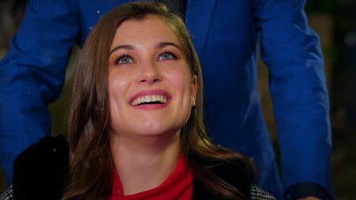 Middleton Christmas Bild 3