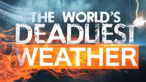 Wetterwahnsinn weltweit (2016) Bild 3