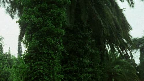 Il sesso della strega Bild 5