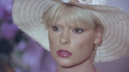 Die Nichten der Frau Oberst Bild 1