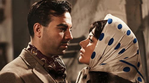 Avare Mustafa Bild 1