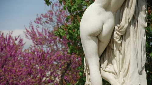 L'art du derrière, une folle histoire des fesses Bild 1
