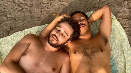 Nicht die brasilianischen Homosexuellen sind pervers, sondern die Situation in der sie leben Bild 1