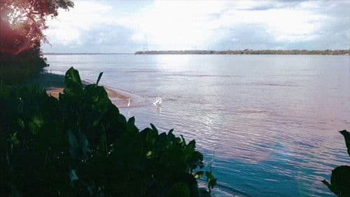 Operação Guaraná Bild 6