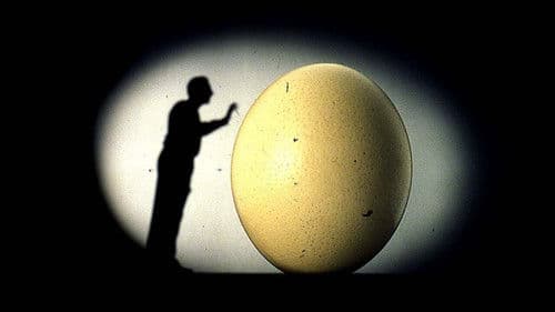 Il mnemonista Bild 1