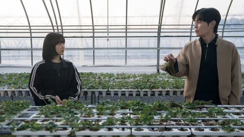 미지의 서울 Bild 2