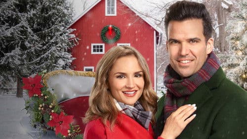 Weihnachten in Blue Ridge Mountain Bild 3