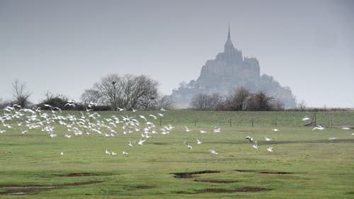 Mont Saint-Michel – Das rätselhafte Labyrinth Bild 4