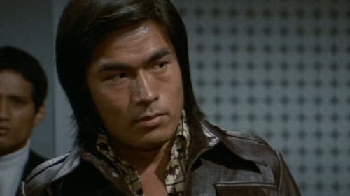 女必殺拳　危機一発 Bild 5