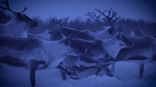 Same Plane Terrain & In Ran Cram Bild 1