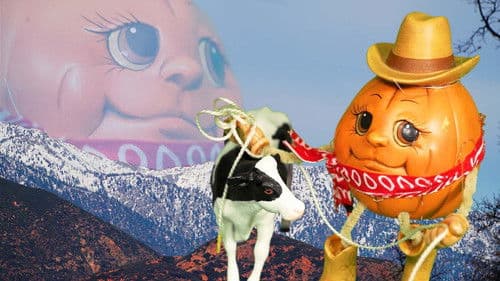 Pumpkin Cowboy Bild 1