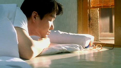 8월의 크리스마스 Bild 6