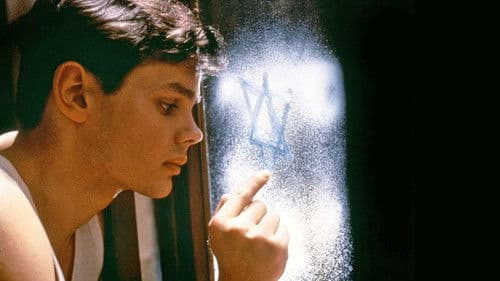 Hitlerjunge Salomon Bild 3