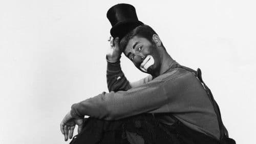 Im Zirkus der drei Manegen Bild 4