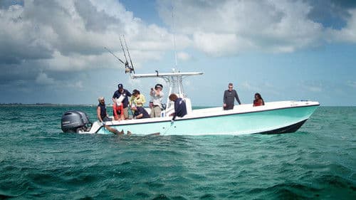 Sharks of the Bermuda Triangle Bild 5