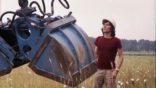 Ich war in Honolulu – wetten? Bild 1