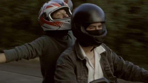 Llamen a un adulto (Sepiaexperimental) Bild 4