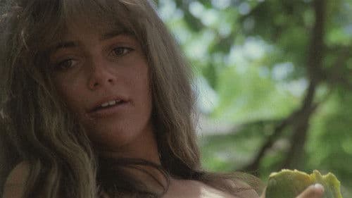 Diamonds of Kilimandjaro Bild 3