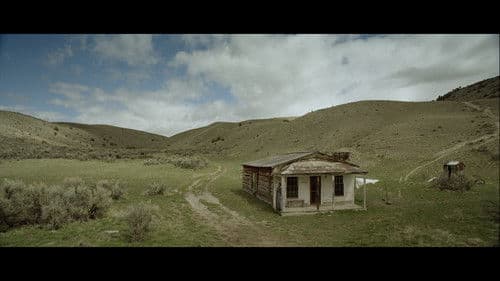 Ride By Night Bild 7