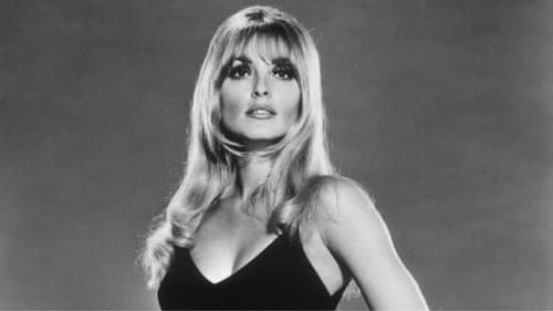 All Eyes on Sharon Tate Bild 3