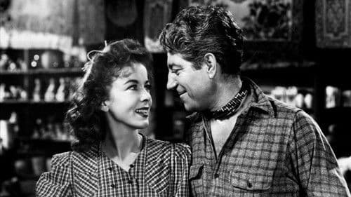 Nacht im Hafen Bild 6