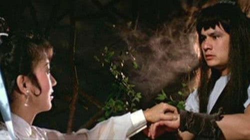 Die Rache des Karateka Bild 3