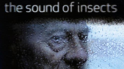 Das Summen der Insekten Bild 3