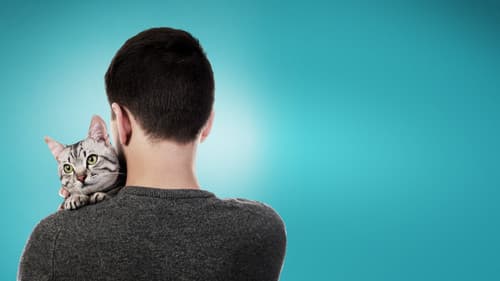 Cat Daddies - Freunde für sieben Leben Bild 4