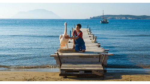 Ein griechischer Sommer Bild 2