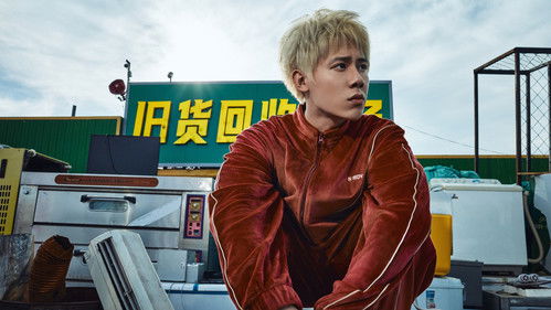 苍茫的天涯是我的爱 Bild 1