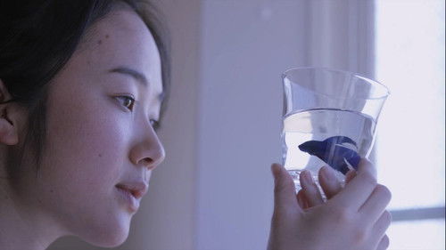 リップヴァンウィンクルの花嫁 Bild 3