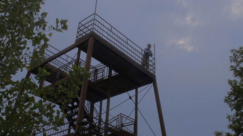 Ask The Birds Bild 1