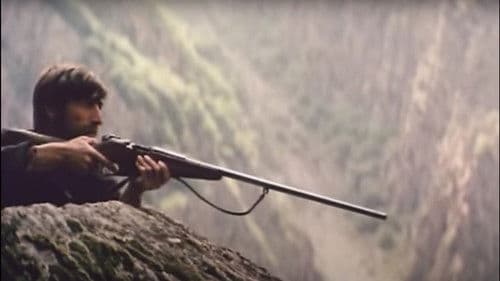 ადამიანთა სევდა Bild 3