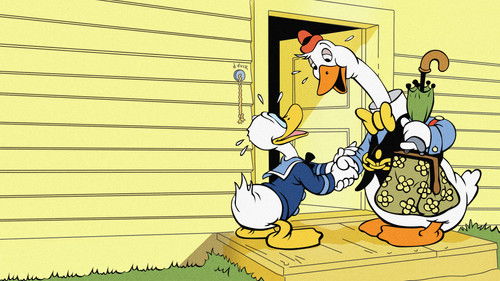 Donalds Cousin Franz Bild 1