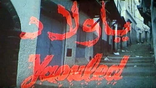 Yaouled Bild 2