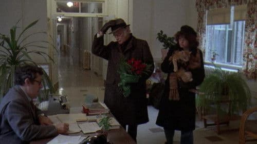 Harry und Tonto Bild 3