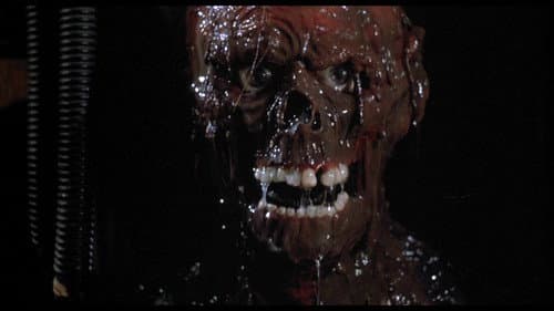 Verdammt, die Zombies kommen Bild 8