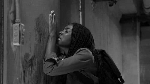 Freund der Welt Bild 7