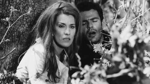 Ψωμί για ένα Δραπέτη Bild 1