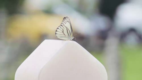 Mentega Terbang Bild 1