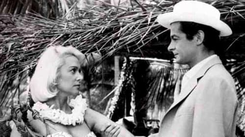 Nächte auf Tahiti Bild 1