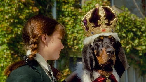 Herzog Hubert Bild 5