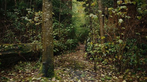 My Thoughts Exactly Bild 1