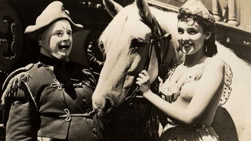 Der Tod des alten Zirkuslöwen Bild 6