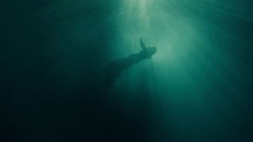 Der Graf von Monte Christo Bild 8