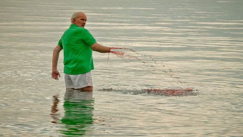 Hai-Alarm am Müggelsee Bild 4