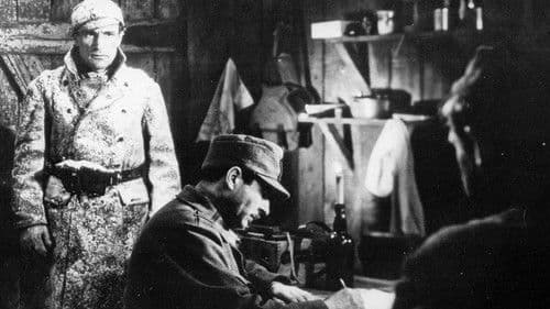 Berge in Flammen Bild 3