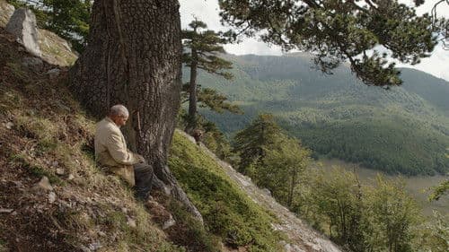 Ein Höhlengleichnis Bild 3